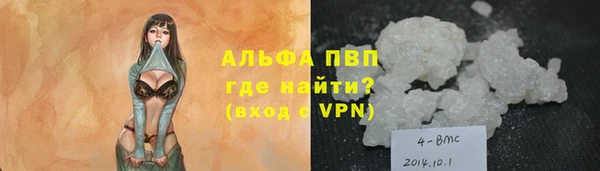 хмурый Дмитриев
