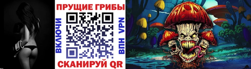 гидра рабочий сайт  Дятьково  Галлюциногенные грибы Magic Shrooms 